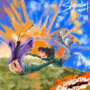 成人免费观看高清在线毛片
